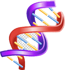 Amount of ADN
