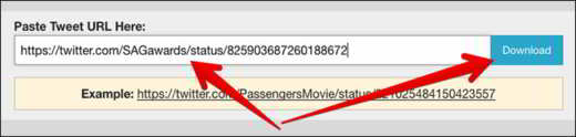 Cómo descargar videos de Twitter en línea