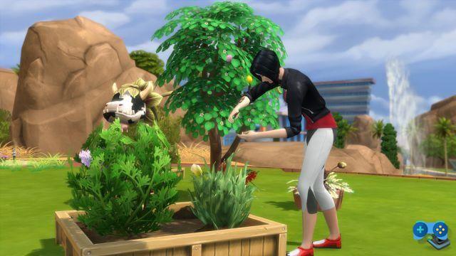 Guia completo de plantas e jardinagem no The Sims 4