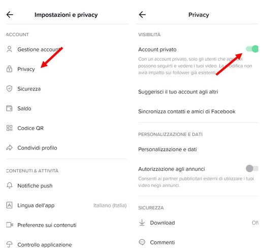How to put your private profile on TikTok