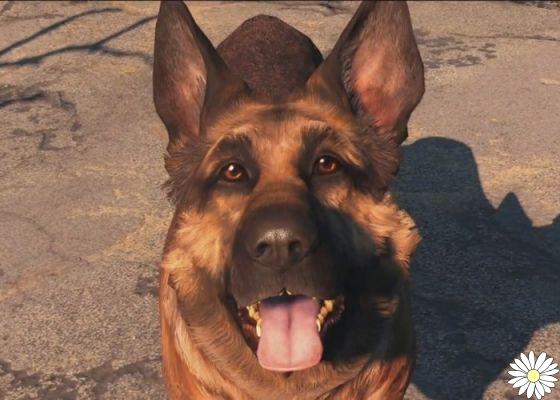 Os cães da saga Fallout: Meatball e seu legado