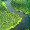 Derrocó al Nilo: el río Amazonas es el río más largo del mundo