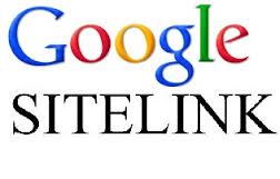 How to use Google sitelinks to highlight our site