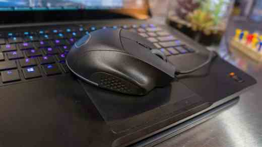 Best Small Mice 2022: Buying Guide