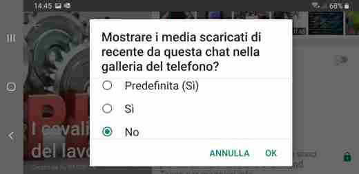 Como não salvar fotos do Whatsapp no ​​Android