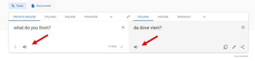 How Google Translate works