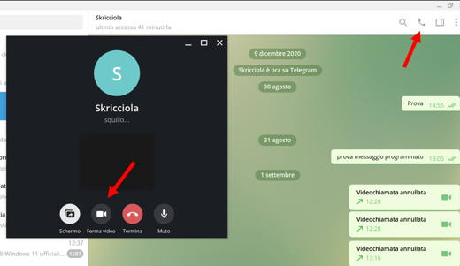 How to make a video call with Telegram