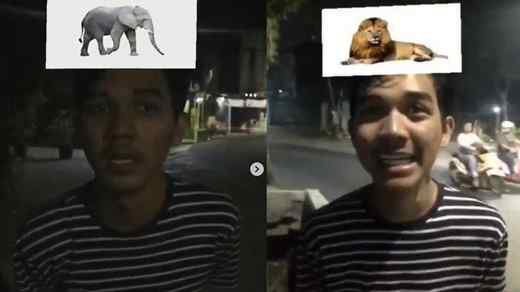 zbe mmd