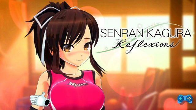 Senran Kagura Burst Re:Newal: The Pairing of Sword and Shield