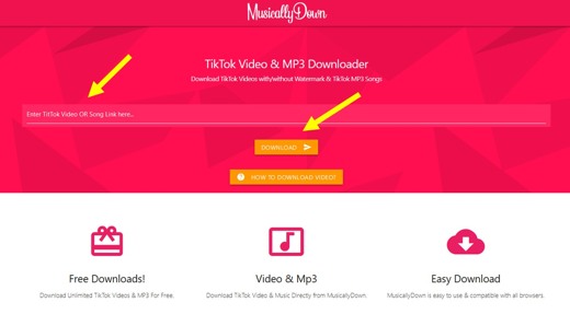 How to download videos from TikTok without logo