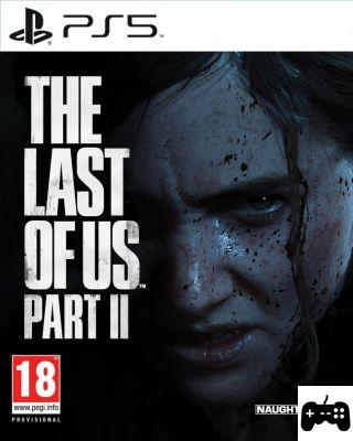The weight of the digital game of The Last of Us: Part 2