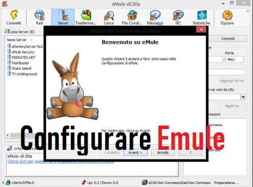 How to Configure Emule 2023. Help and Advice