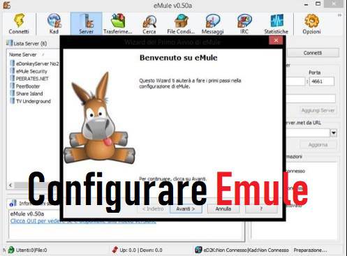 Comment configurer Emule 2023. Aide et conseils