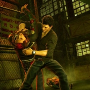 Sleeping Dogs, the system requirements for the PC version