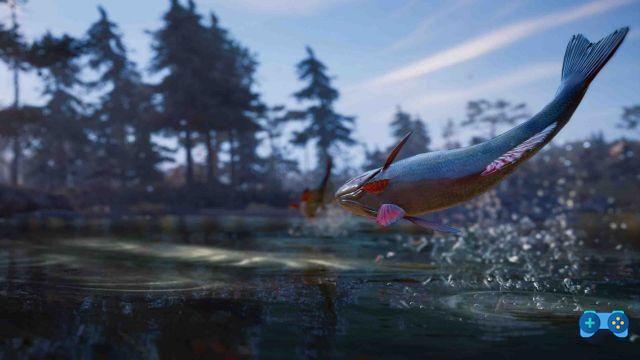 Assassin's Creed Valhalla, Guide - Where to find all the fish