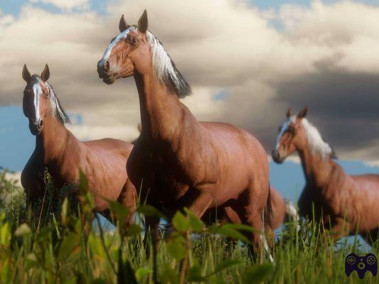 Horse breeds in Red Dead Redemption 2