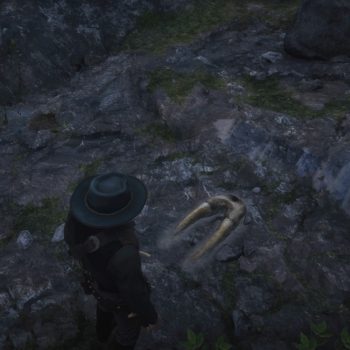 Red Dead Redemption 2, où trouver tous les os de dinosaures