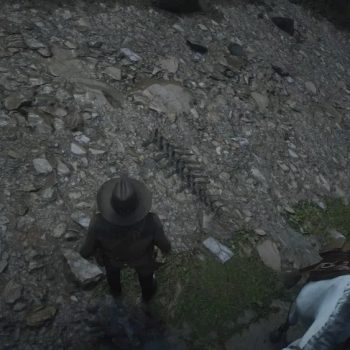 Red Dead Redemption 2, où trouver tous les os de dinosaures