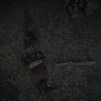 Red Dead Redemption 2, où trouver tous les os de dinosaures