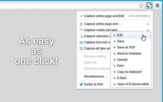 How to screenshot a webpage with Chrome