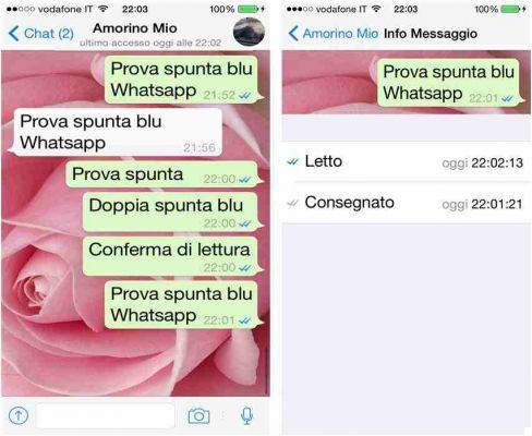 WhatsApp: the double blue check arrives for the read confirmation