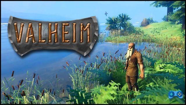 Review in a nutshell: Valheim