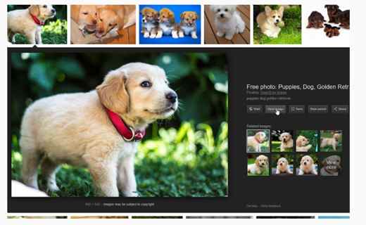 How to restore View Image button in Google Images