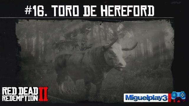 Emplacement du journal dans Red Dead Redemption 2