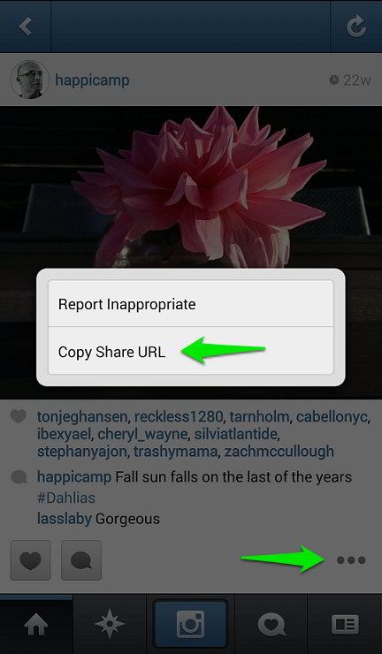 Como salvar fotos e vídeos do Instagram no PC ou no Android e iPhone